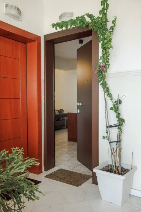 Tommy'S Family Apartment Κατερίνη Εξωτερικό φωτογραφία